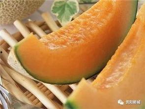 吃瓜群众吃哈密瓜视频,哈密瓜视频走红，吃瓜群众纷纷围观