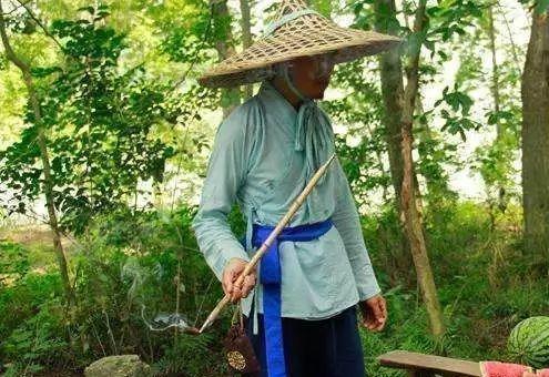 江南野外吃瓜,瓜香四溢的夏日盛宴