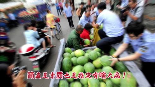 吃瓜群众感悟,吃瓜群众视角下的社会百态