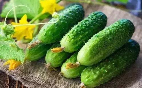 夏天吃瓜春天吃芽,夏品瓜甜春尝芽鲜