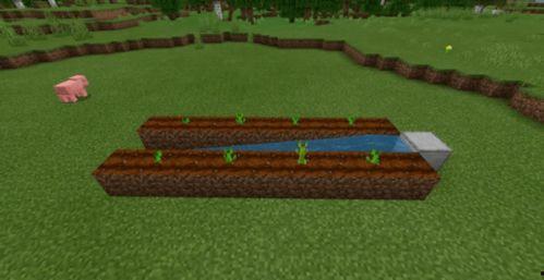 吃瓜我的世界视频,揭秘虚拟世界的欢乐与奇遇