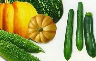 老呆吃瓜,揭秘娱乐圈那些不为人知的幕后故事