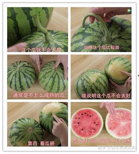 对线吃瓜,对线吃瓜，揭秘赛场背后的精彩瞬间