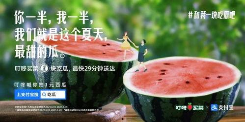 吃瓜团队照片文案,揭秘幕后故事