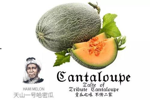 公众号推荐吃瓜,吃瓜群众的美食指南