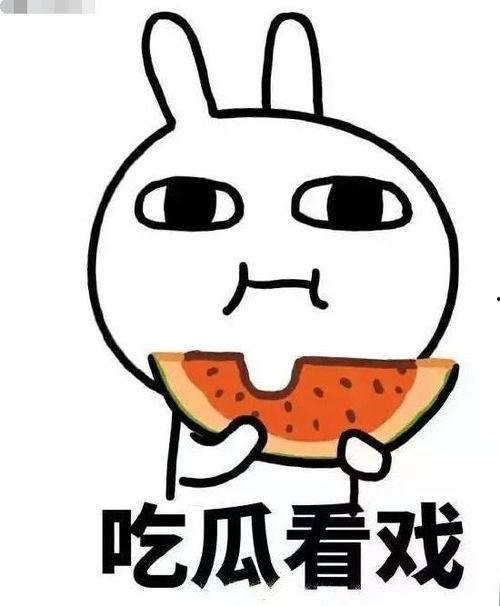 追打吃瓜完结,一场吃瓜盛宴的圆满落幕