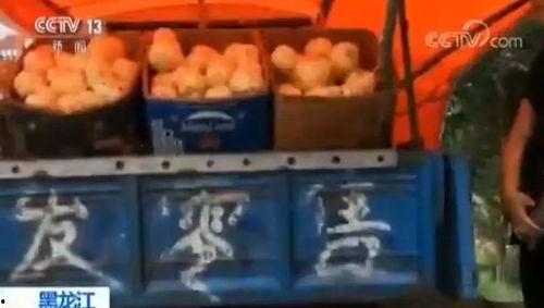 嘎嘎谈吃瓜,揭秘娱乐圈幕后故事与趣味瞬间