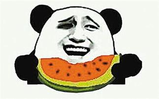 吃瓜不信瓜啥意思,网络热语背后的真相与反思