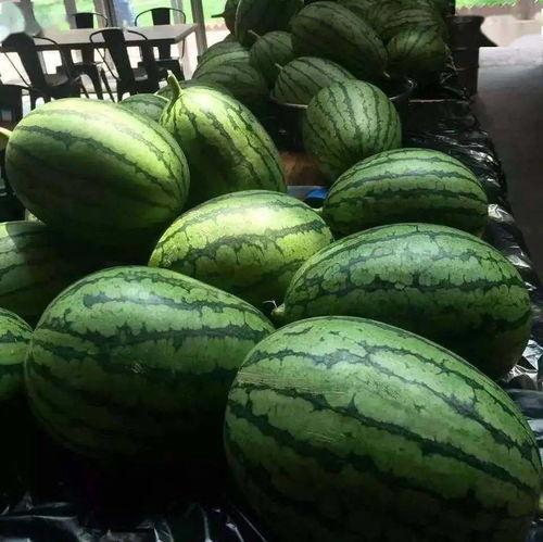 每天吃京瓜,健康生活新选择