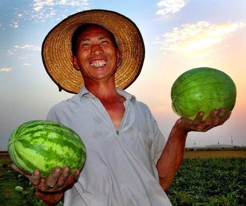 淮南寿县哪里吃瓜,探寻当地特色美食之旅