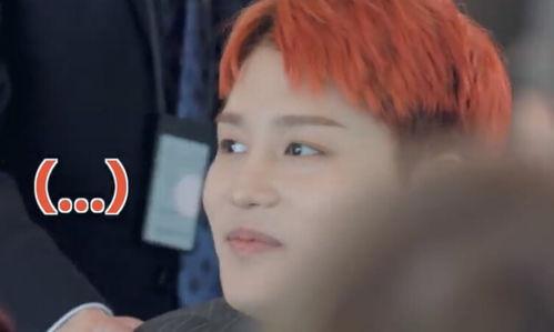 金道英吃瓜,揭秘娱乐圈背后的秘密与八卦