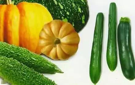 上朝吃瓜33,揭秘33位皇帝的宫廷瓜田