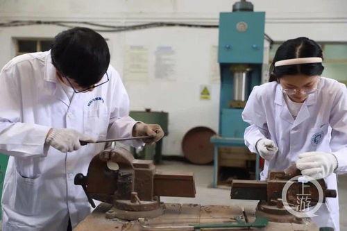 西南大学吃瓜事件,校园风波背后的真相探寻