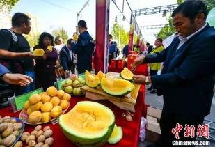 河北吃瓜事件最新