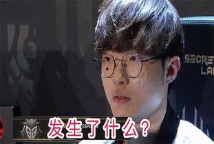 解说cat吃瓜,揭秘猫咪吃瓜的趣味瞬间