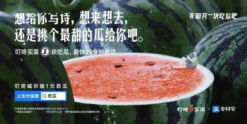 挖土瓜吃的文案,尽享瓜果飘香时光