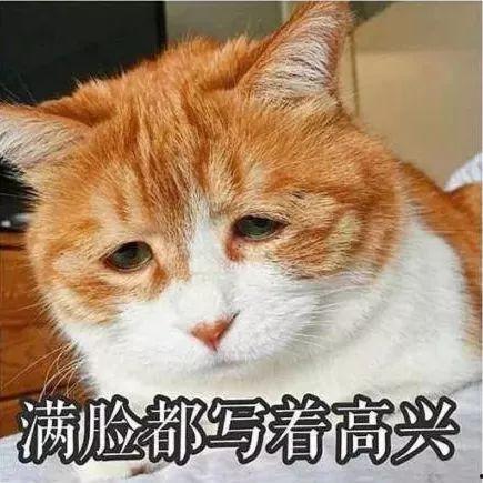 当你被迫吃瓜,揭秘网络舆论场的无奈与反思