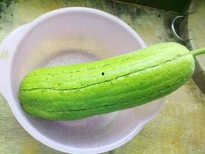 水瓜过夜可以吃吗,水瓜过夜食用安全指南