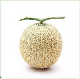 吃瓜群众 钙片,揭秘钙片的作用与选择