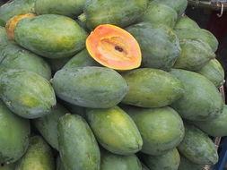 越吃越大的瓜,揭秘美食背后的神奇魔力  第2张