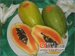 越吃越大的瓜,揭秘美食背后的神奇魔力  第3张