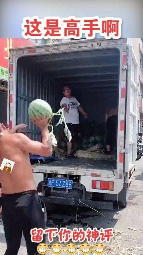 吃瓜失误视频,笑料百出！揭秘网络视频中的意外搞笑瞬间  第2张