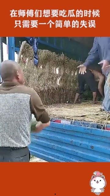 吃瓜失误视频,笑料百出！揭秘网络视频中的意外搞笑瞬间  第3张