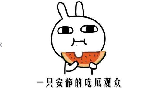 最近吃瓜事件在线观看  第2张