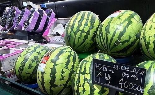 韩国吃不起瓜  第3张