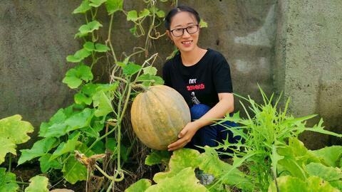 农村夫妇吃瓜  第3张