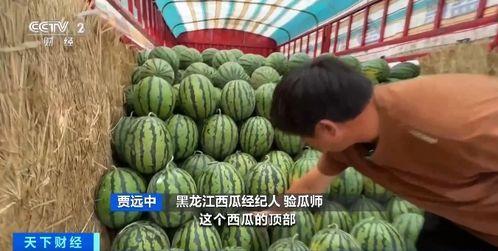 星星峡吃瓜 第2张 星星峡吃瓜 第2张