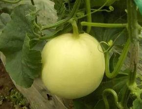 小水吃瓜,揭秘娱乐圈幕后故事 第2张 小水吃瓜,揭秘娱乐圈幕后故事 第2张