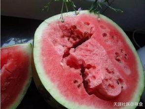 吃瓜文明测评,揭秘网络热议背后的文化现象 第2张 吃瓜文明测评,揭秘网络热议背后的文化现象 第2张