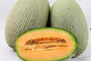 吃哈密瓜排尿多 第2张 吃哈密瓜排尿多 第2张