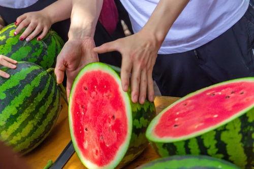 长工吃瓜,一场乡村生活的甜蜜回忆  第3张